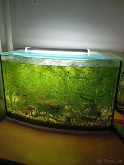 akvarium