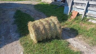 Balíkované seno malé okrúhle balíky