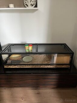 terarium - 1