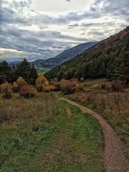 Predám lesný pozemok na Liptove