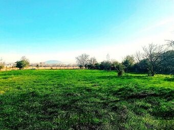 Objekt na podnikanie