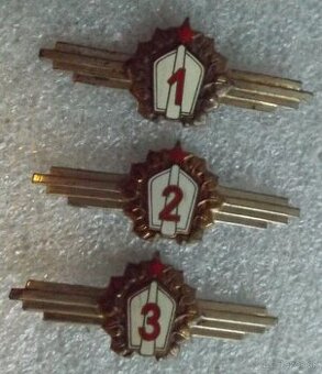 odznaky - vojenské triednosti