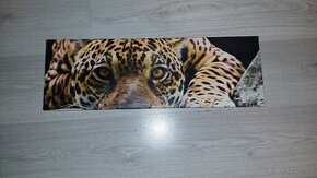 Obraz na stenu leopard