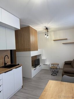 Prenájom 1izbový byt