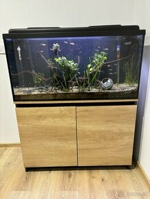 200L Akvárium aj s rybami