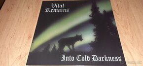 metal Lp - VITAL RENAINS - Into Cold Darkness - 1
