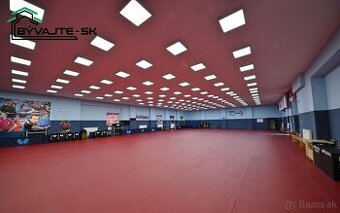 PRENÁJOM Veľká hala, ul. Nadjazdová Prievidza.