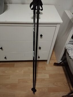 Lyziarske palice Radical