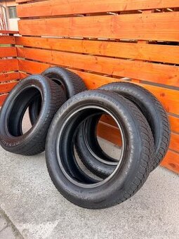 zimné pneumatiky Dunlop Winter Sport 5, 205/60 R16 96H