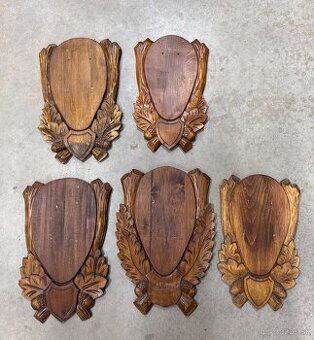 Trofej,parohy,parozie,daniel