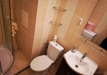 1 izbový byt na prenájom, Hradná Komárno