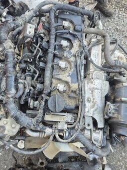 Nissan YD25 2.5 dCi / 2.5 TDI  Pathfinder  Navara