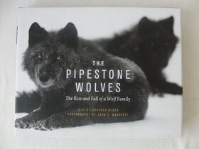 The Pipestone Wolves The Rise and Fall of a Wolf F