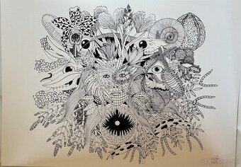 Kresba na papieri - 72x50.5cm