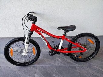 Detsky Specialized 20