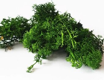 Stabilizovaný mach - zvyšky 1 kg