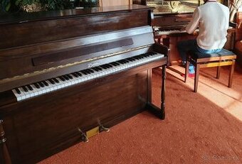 Piano Dietmann od ZNÁMEHO UMELCA