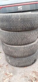 215/65 R17 Zimné pneumatiky Goodyear