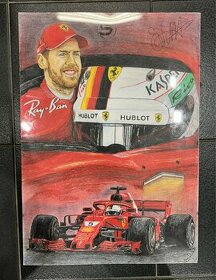 Ručne maľovaný obraz S.Vettel - 1