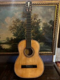 Gitara Cremona 498 Brauer/Mettal