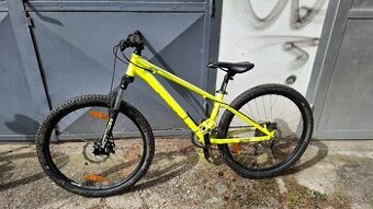 Kellys Whip 10