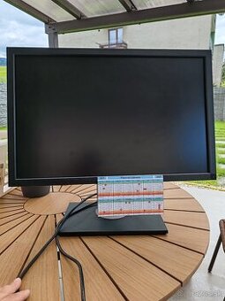 Monitor Dell