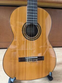 Esteve 6PS koncertná gitara