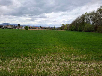 Predaj stavebný pozemok Sľažany