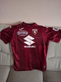 Dres FC Torino, XL