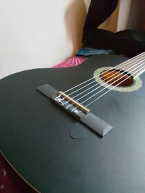 Gitara spanielka