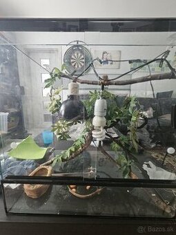 Predam terarium pre chameleona