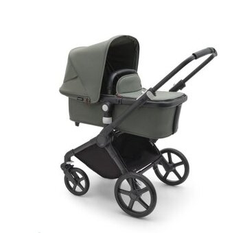 Bugaboo fox cub