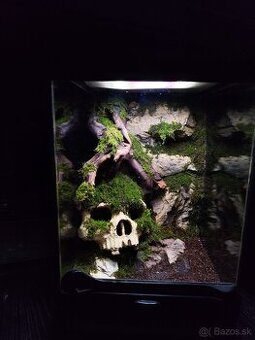 Terarium Exo terra