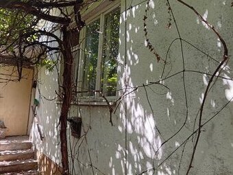 3-i dom + letná kuchyňa, 1000 m² pozemok, centum Leopoldov