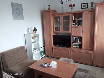 Prenajmem 1 izbový byt s lodžiou na Terase