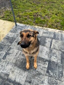 Darujem za symbolickú cenu