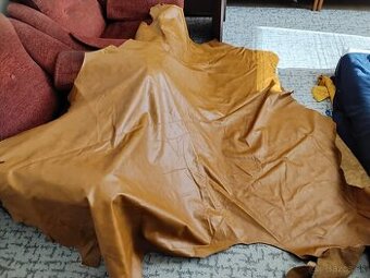 Čalunicka koža - 1