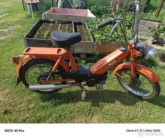Babeta 207 362