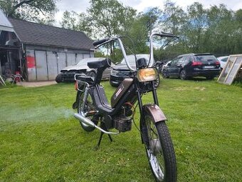Babeta 210