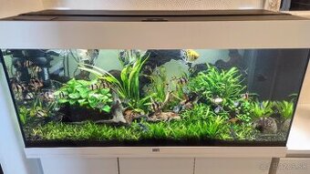 Juwel Rio akvárium 180L