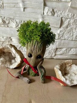 Groot so stabilizovaným machom