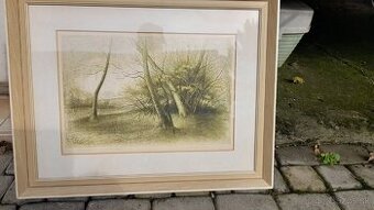 obraz krajinka Anna Hanzlova