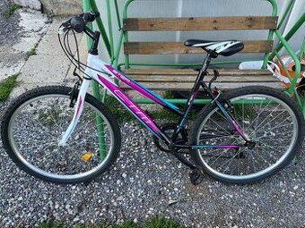 Bicykel