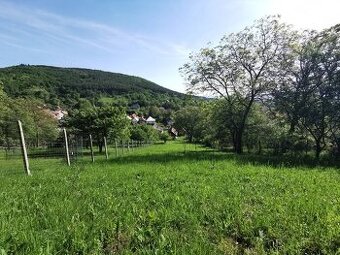 Predaj vidieckého domu s rozľahlým pozemkom Nitr. Sučany,okr