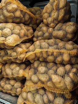 Predam slovenske domace zemiaky a cesnak