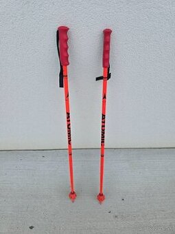 Destké palice Atomic