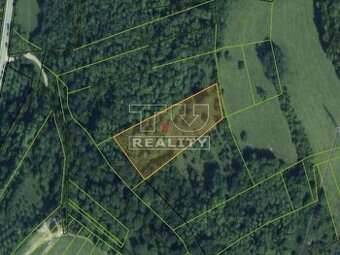 NA PREDAJ LES V KATASTRI BECKOV - 4316 M2 PRÍRODY,... - 1