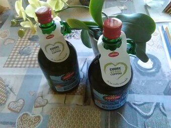 Olivový olej z Talianska/ olio extra vergine di oliva