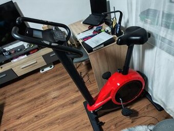 Elektromagnetický rotopéd