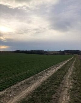 Orná pôda 16316m2 - 1